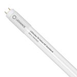 Ledvance LED Buis T8 Value (HF) Standard Output 8W 900lm - 865 Daglicht | 60cm - Vervangt 18W