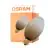 Osram Decor LED Lamp Bruin Glas E27 3.5W 300lm - 827 Zeer Warm Wit | Vervangt 25W